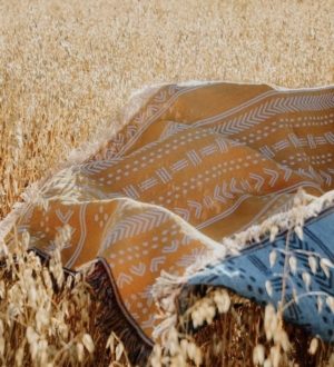 picnic rug